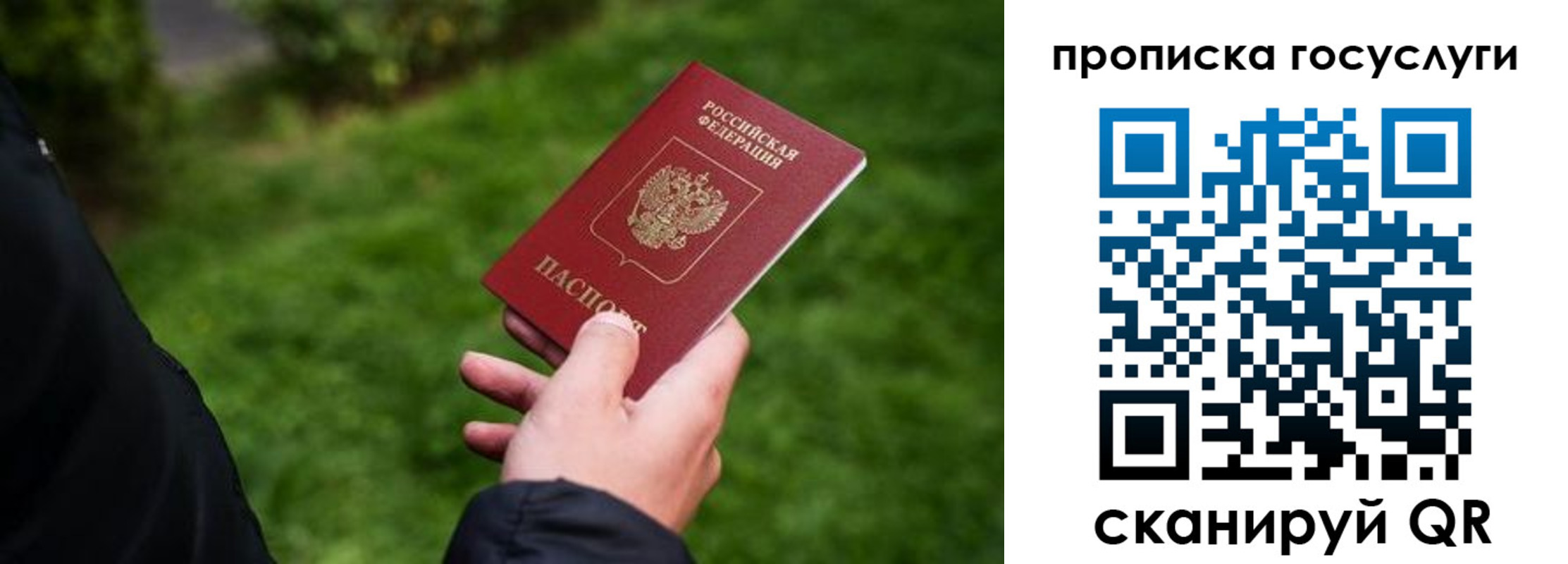 прописка для работы в Стародубе